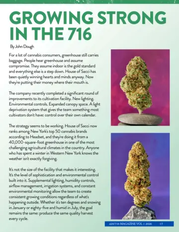 Inside Issue #3 preview page