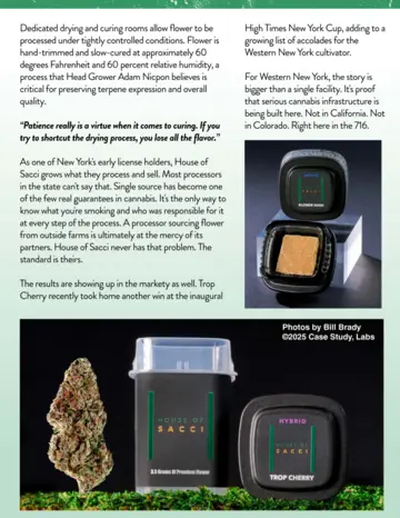 Inside Issue #3 preview page