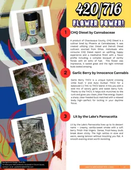 Issue #4 preview page 23