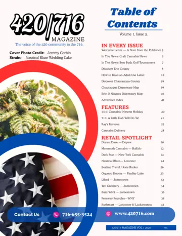 Inside Issue #3 preview page