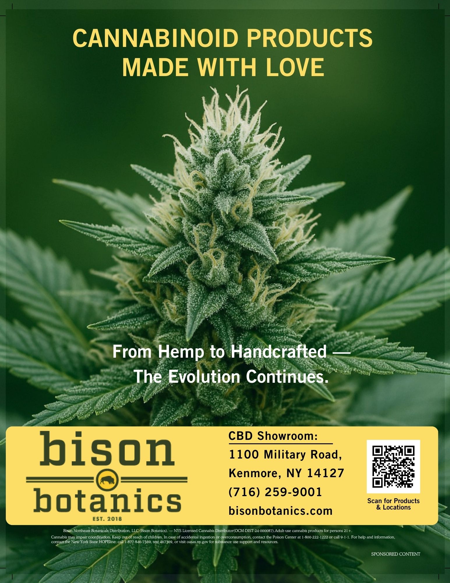 Magazine advertiser page preview