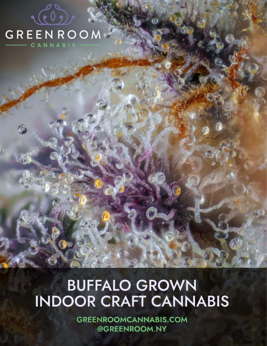 420/716 Magazine Issue #4 page 3