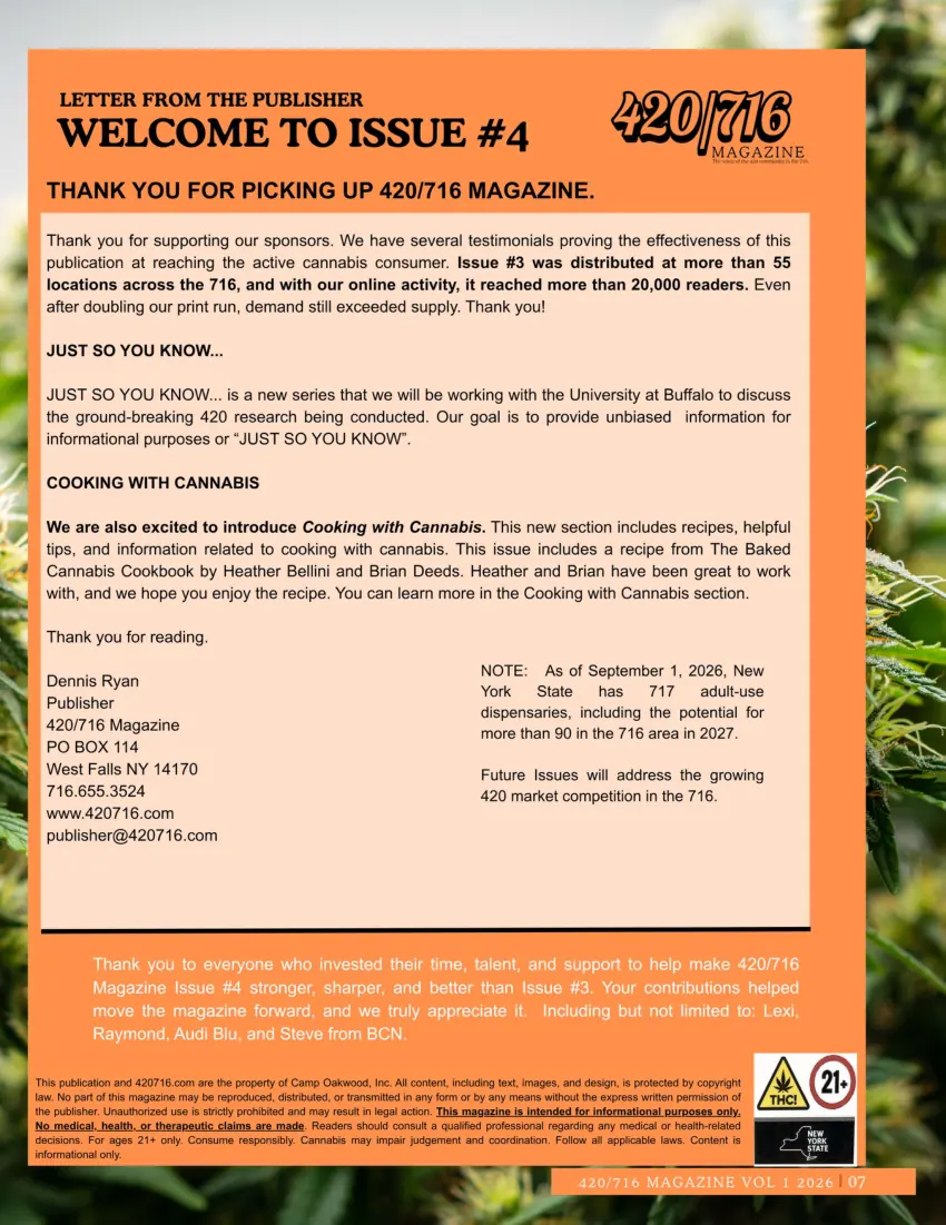 420/716 Magazine Issue #4 page 7
