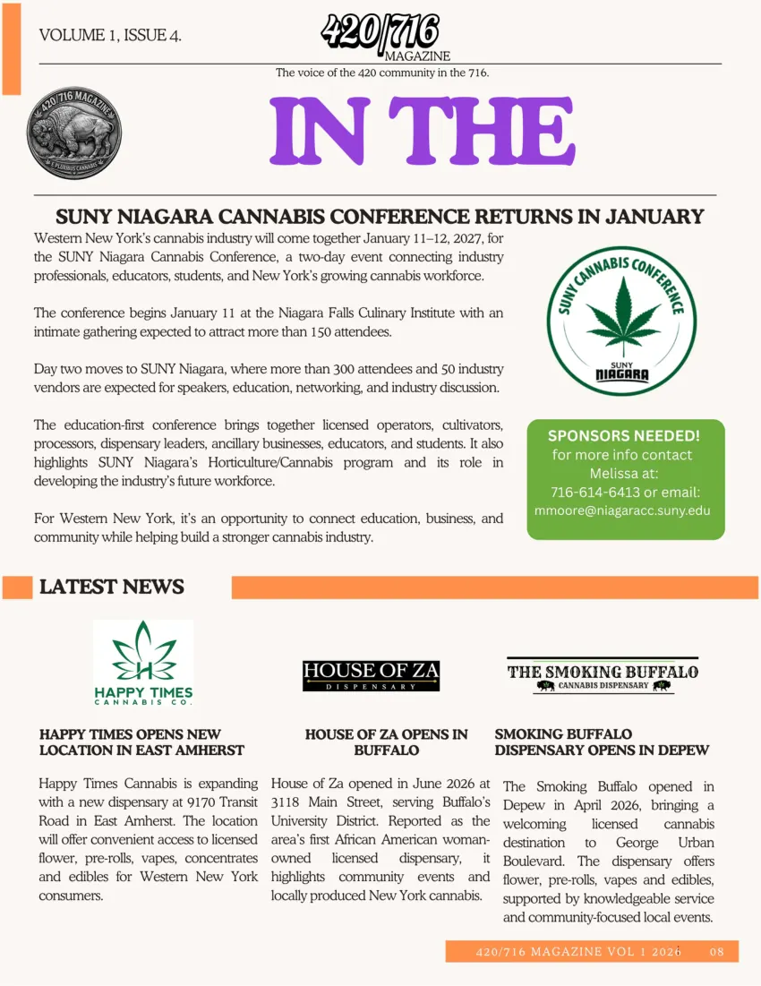 420/716 Magazine Issue #4 page 8