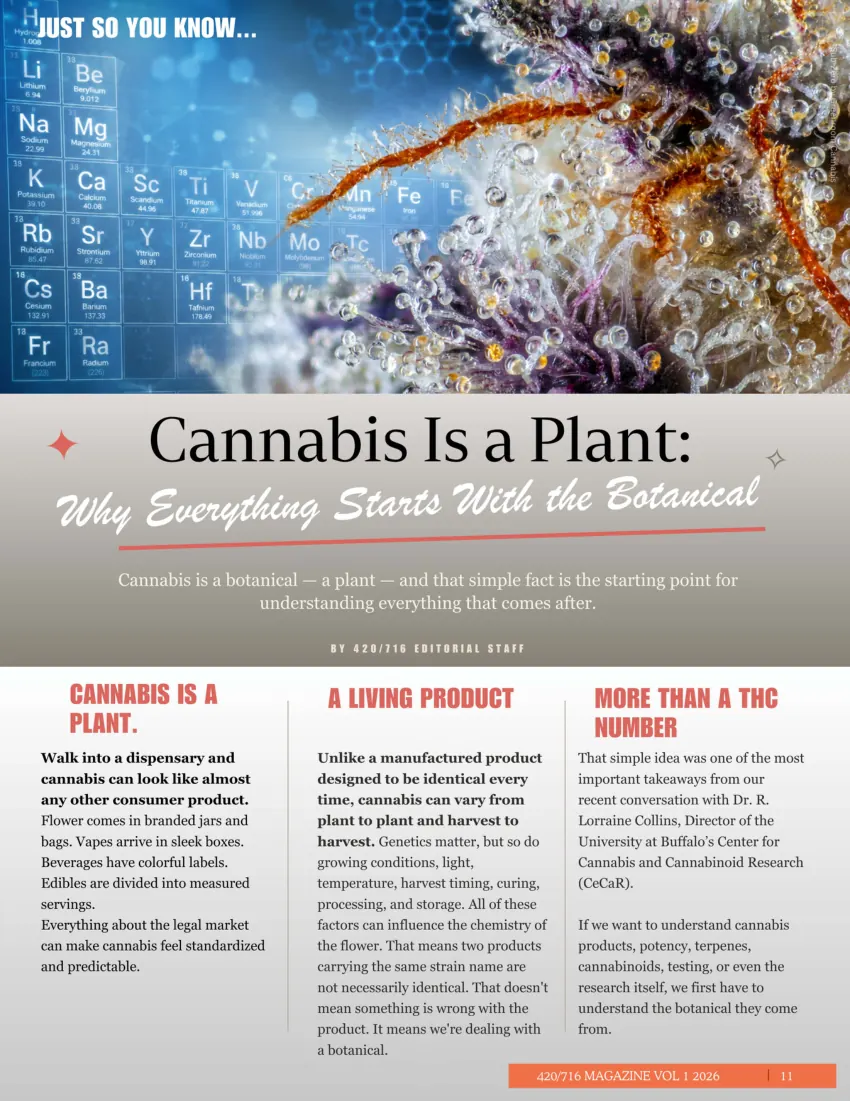 420/716 Magazine Issue #4 page 11