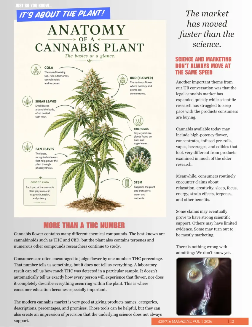 420/716 Magazine Issue #4 page 12