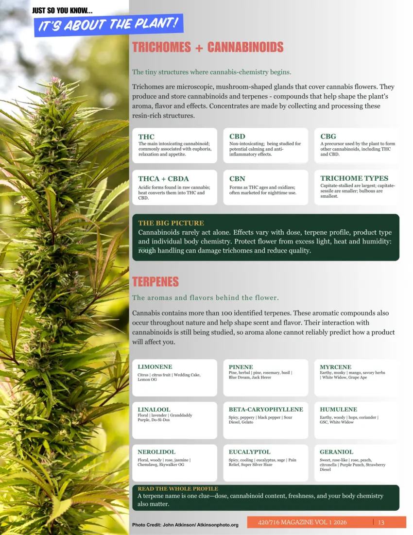 420/716 Magazine Issue #4 page 13