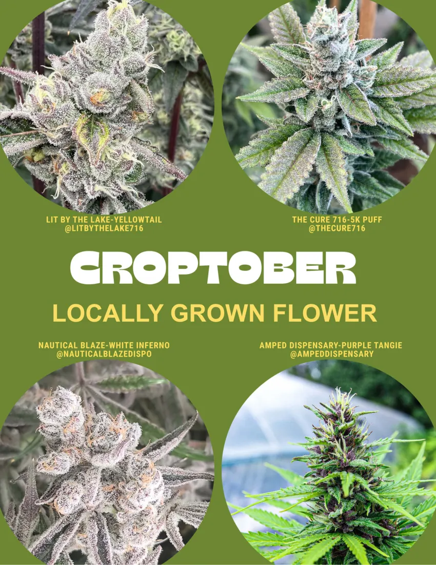 420/716 Magazine Issue #4 page 16