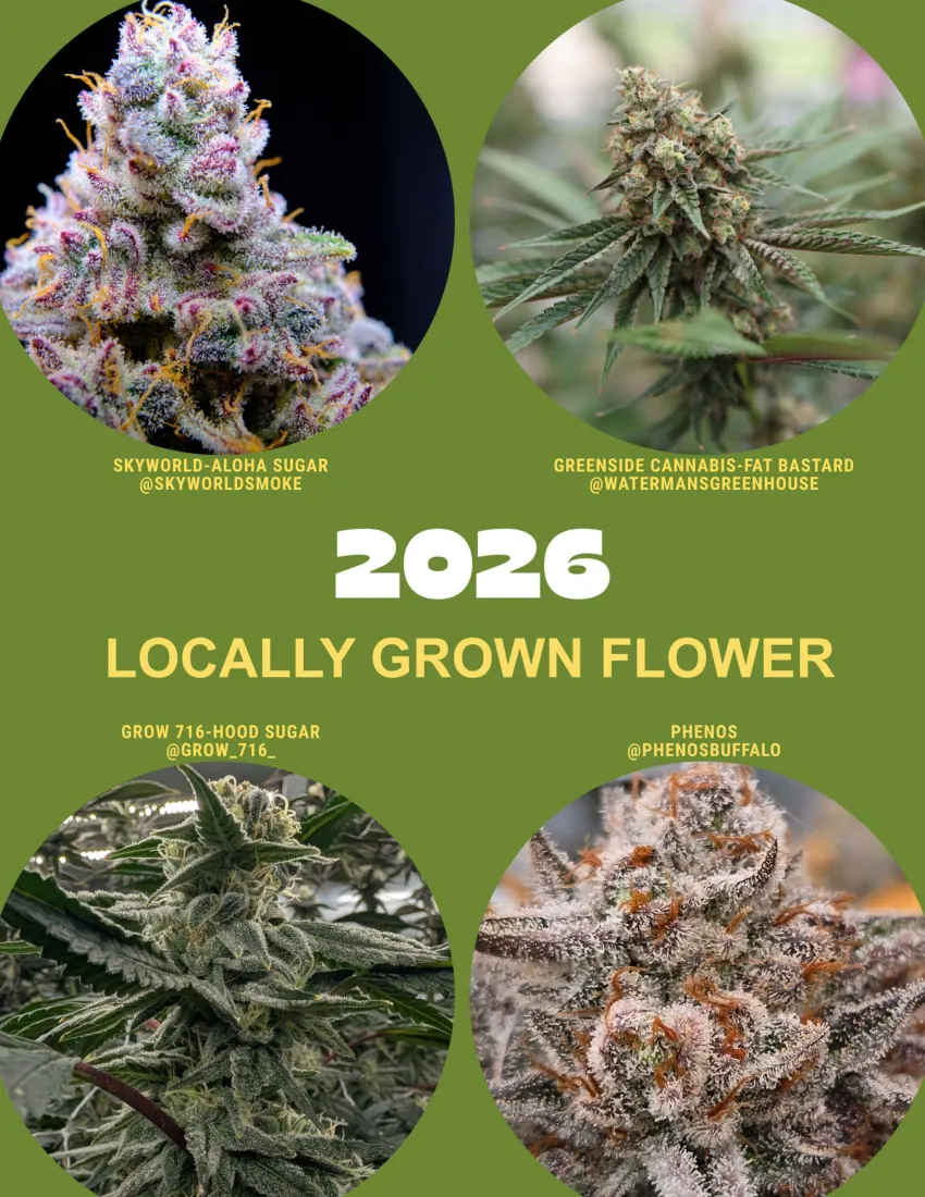 420/716 Magazine Issue #4 page 17