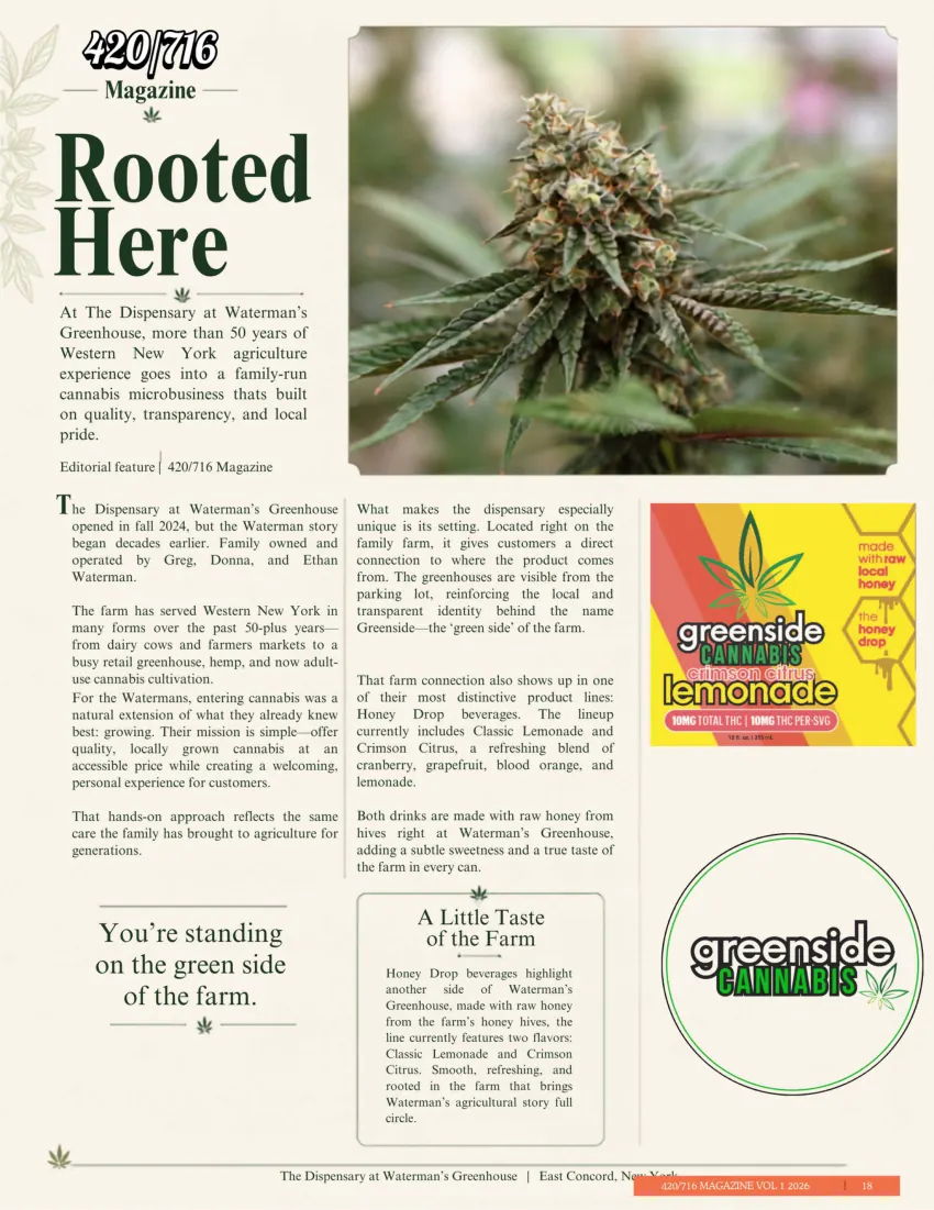 420/716 Magazine Issue #4 page 18
