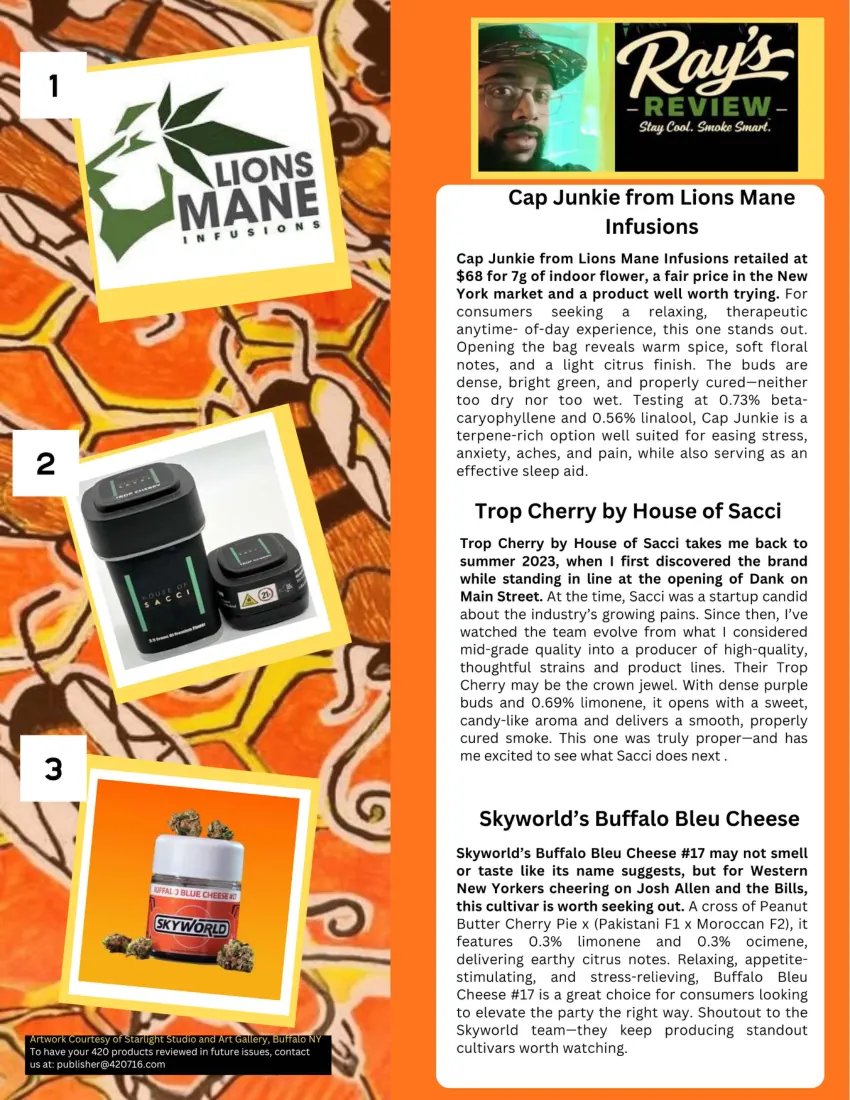 420/716 Magazine Issue #4 page 21