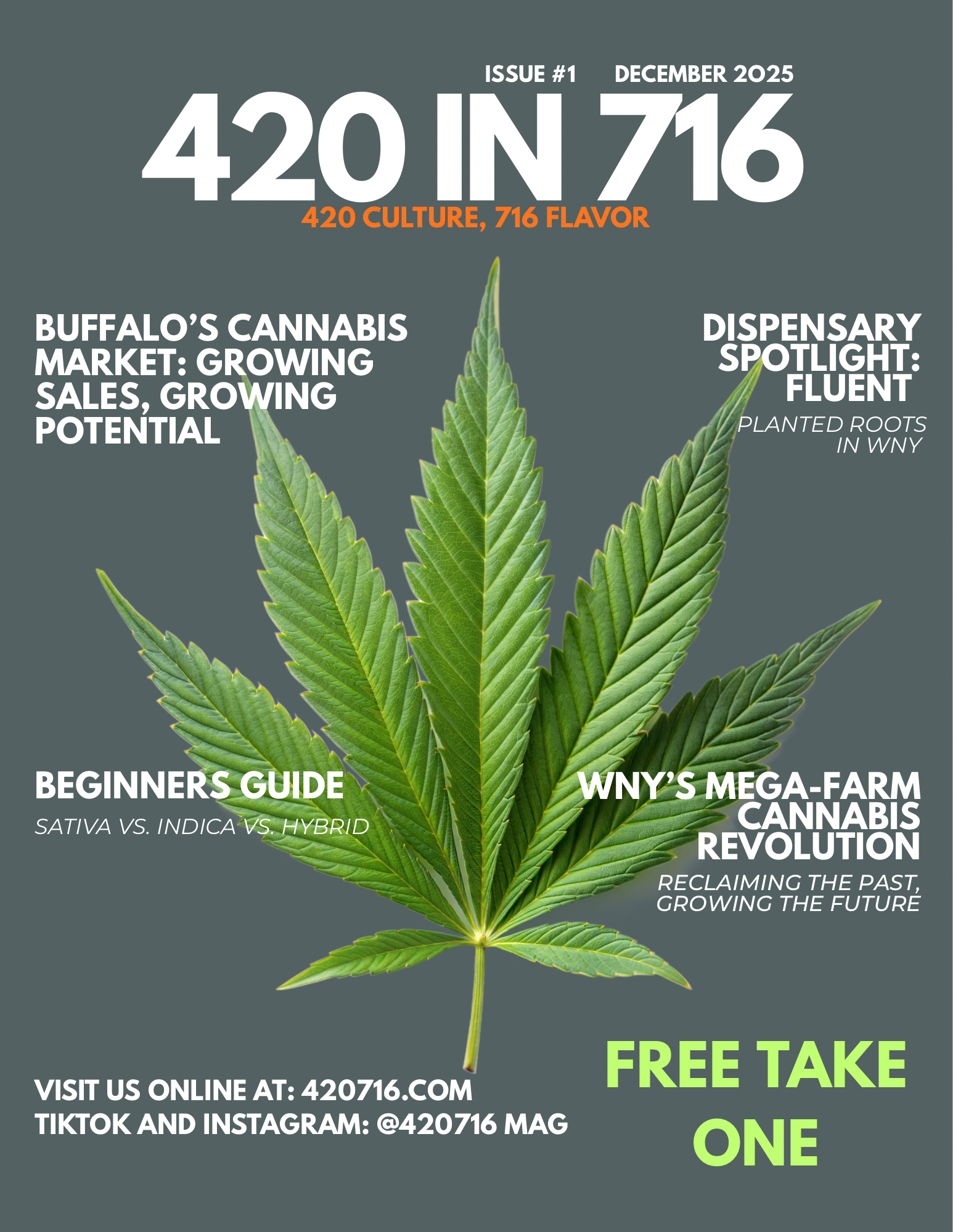 420 IN 716 — Issue #1 cover